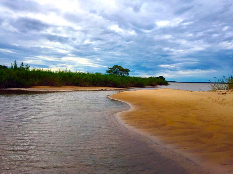 Corrientes pesca