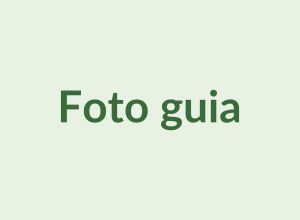 guia.jpg